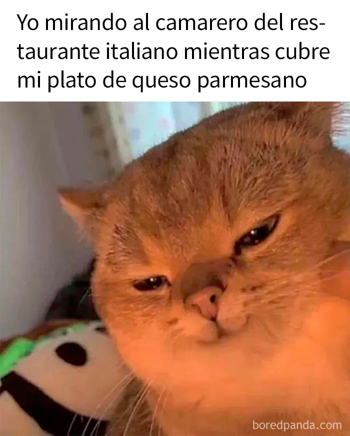 20 Memes y publicaciones reconfortantes para recordarnos que no todo es malo en el mundo