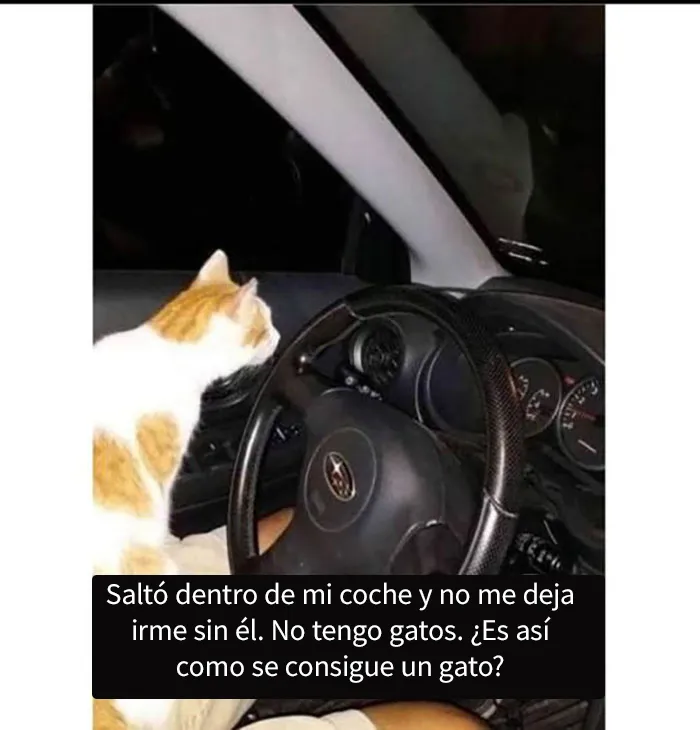 20 Memes y publicaciones reconfortantes para recordarnos que no todo es malo en el mundo