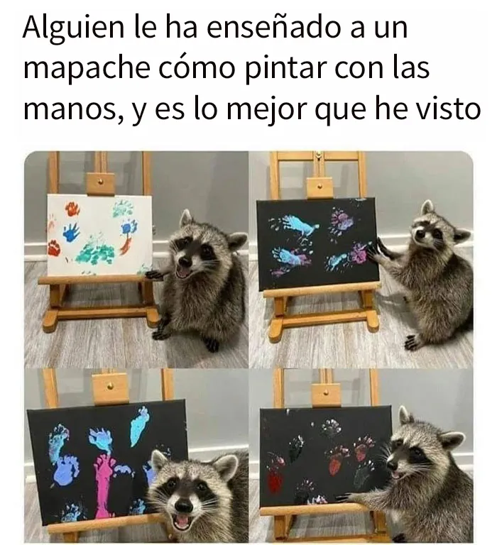 20 Memes y publicaciones reconfortantes para recordarnos que no todo es malo en el mundo