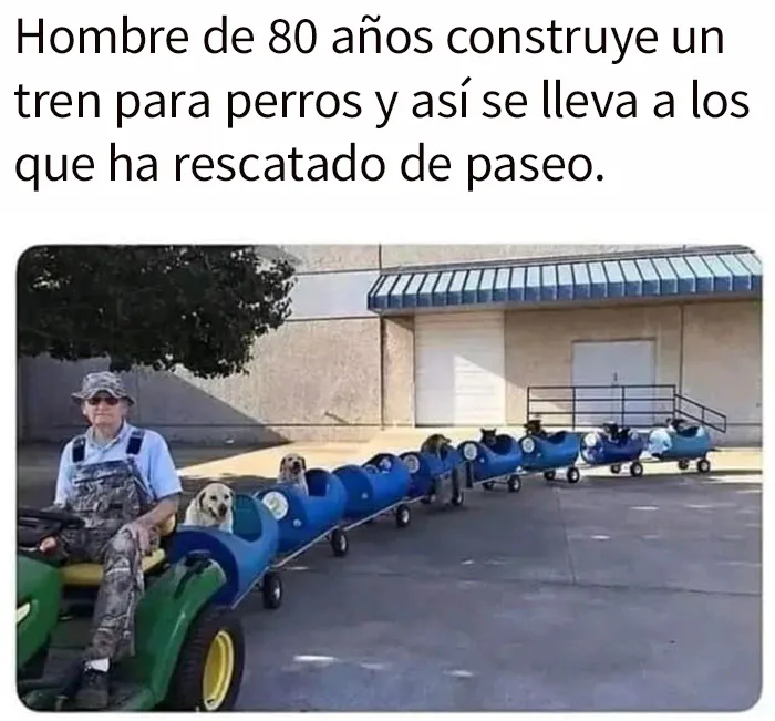 20 Memes y publicaciones reconfortantes para recordarnos que no todo es malo en el mundo