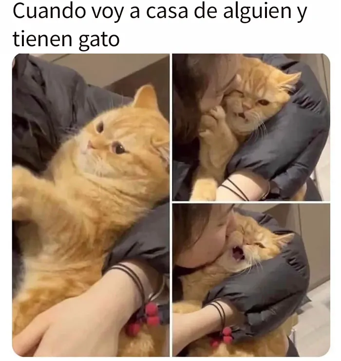 20 Memes y publicaciones reconfortantes para recordarnos que no todo es malo en el mundo
