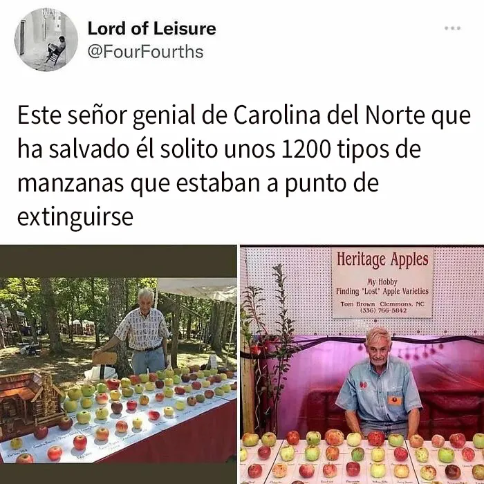 20 Memes y publicaciones reconfortantes para recordarnos que no todo es malo en el mundo