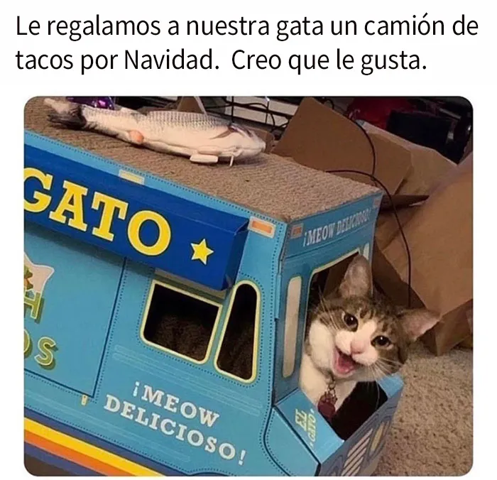 20 Memes y publicaciones reconfortantes para recordarnos que no todo es malo en el mundo
