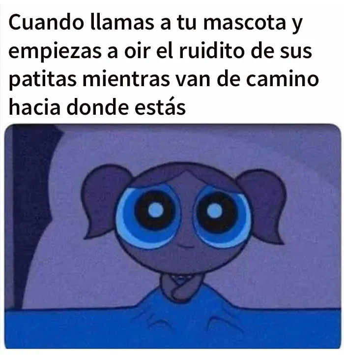 20 Memes y publicaciones reconfortantes para recordarnos que no todo es malo en el mundo