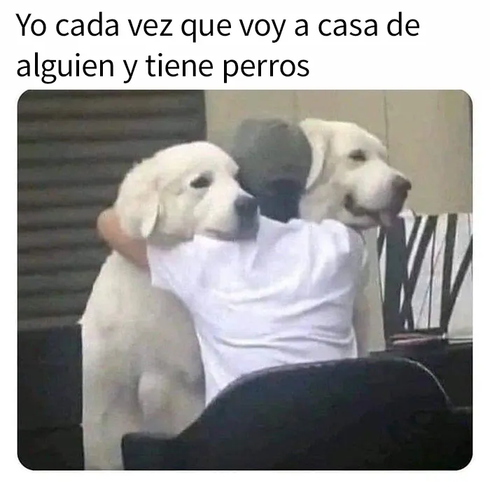 20 Memes y publicaciones reconfortantes para recordarnos que no todo es malo en el mundo