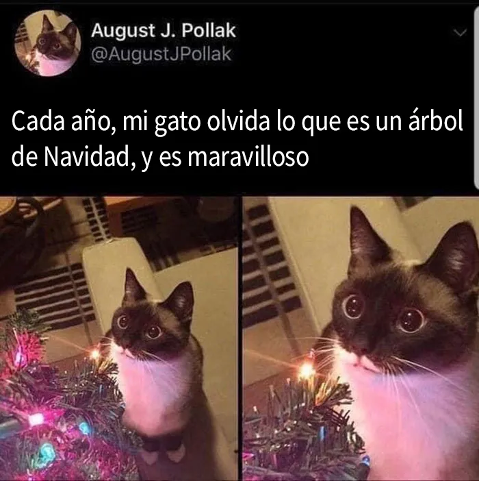 20 Memes y publicaciones reconfortantes para recordarnos que no todo es malo en el mundo