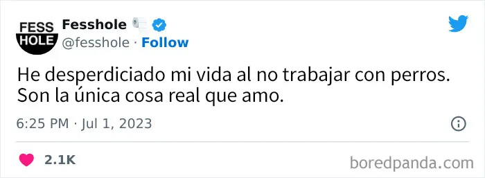 «Confiesa de forma anónima»: 20 secretos que la gente no se atrevería a revelar en la vida real