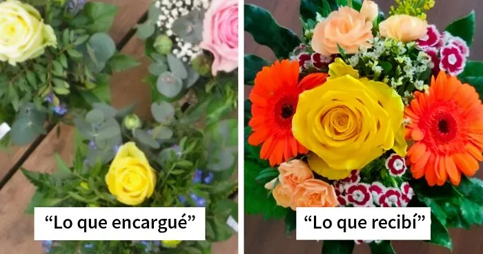 43 Momentos de «Expectativas VS Realidad» en que los resultados superaron cualquier expectativa