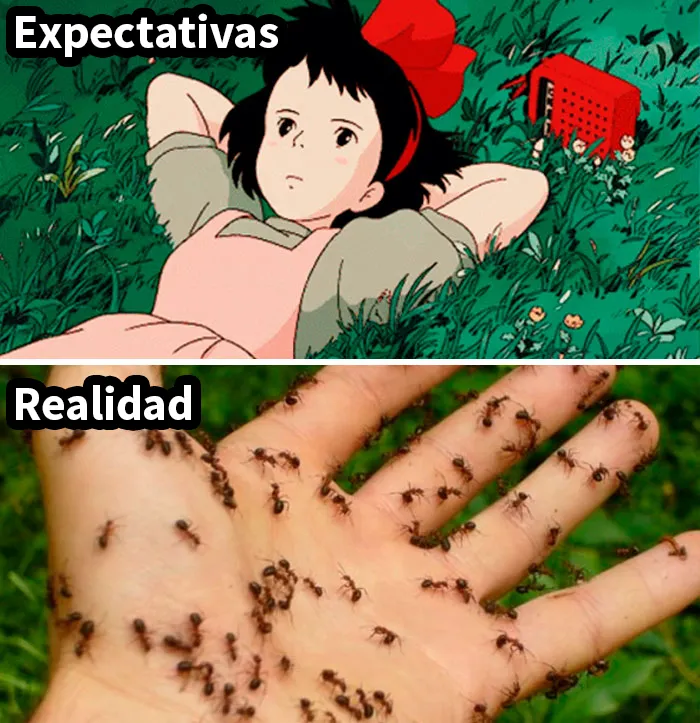 20 Divertidos memes para los fans de Studio Ghibli
