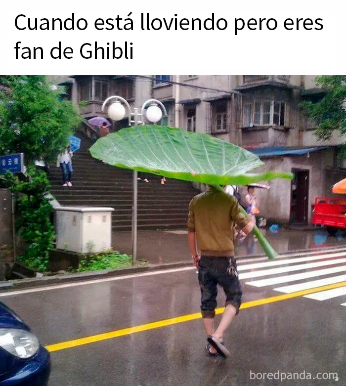 20 Divertidos memes para los fans de Studio Ghibli