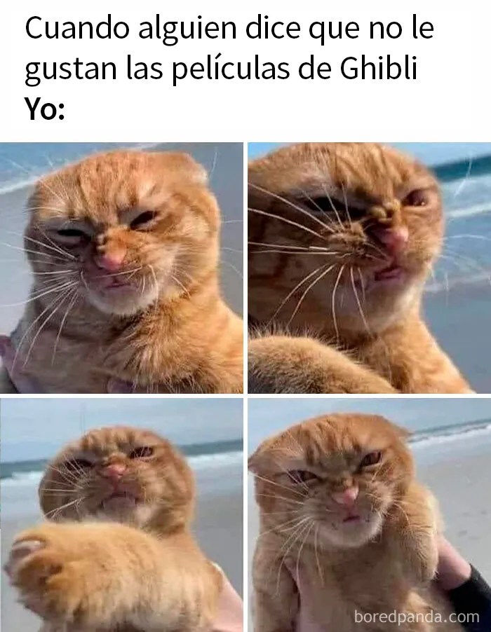 20 Divertidos memes para los fans de Studio Ghibli