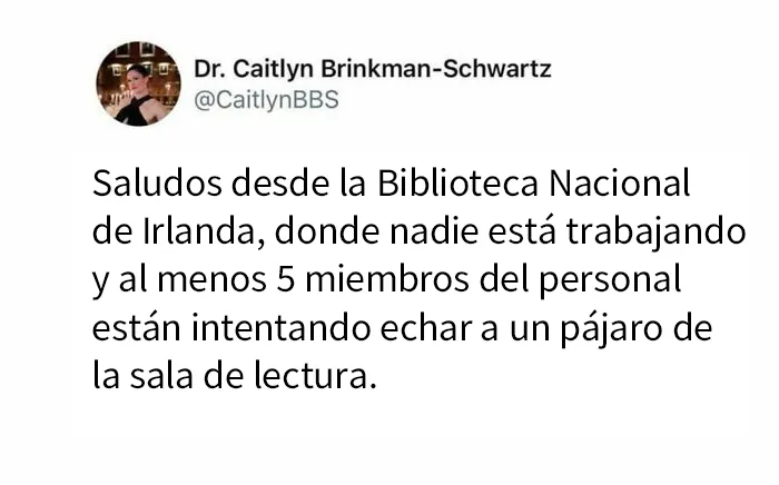"Mientras tanto en Irlanda": 20 Divertidos memes e imágenes que captan la esencia de los irlandeses