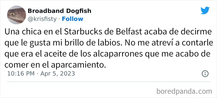 "Mientras tanto en Irlanda": 20 Divertidos memes e imágenes que captan la esencia de los irlandeses