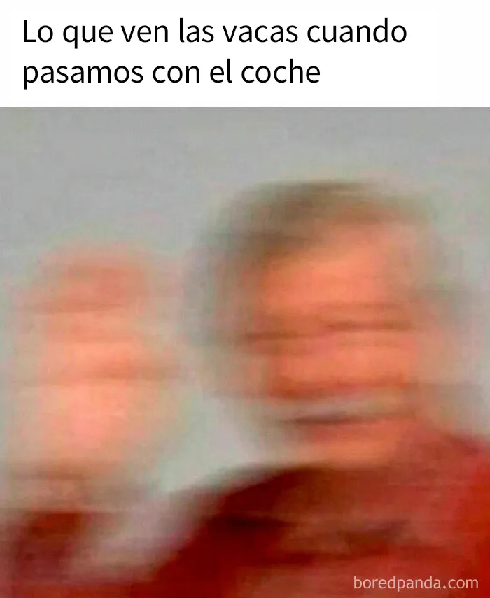 "Mientras tanto en Irlanda": 20 Divertidos memes e imágenes que captan la esencia de los irlandeses