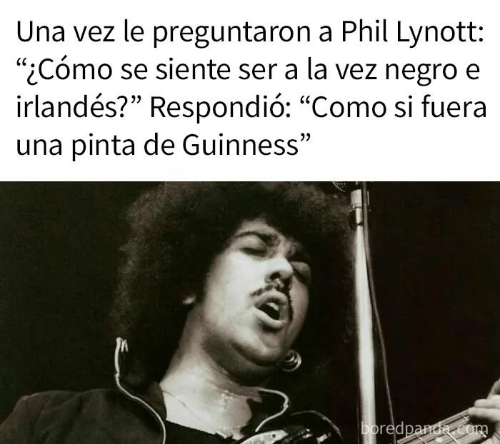 "Mientras tanto en Irlanda": 20 Divertidos memes e imágenes que captan la esencia de los irlandeses