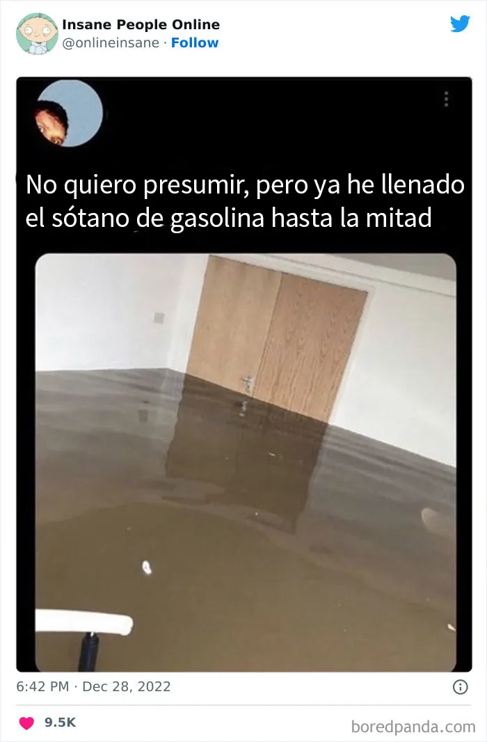 20 Extravagantes publicaciones de personas locas que se encuentran en internet