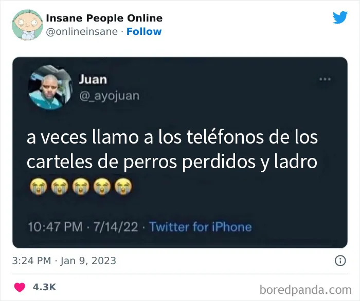 20 Extravagantes publicaciones de personas locas que se encuentran en internet