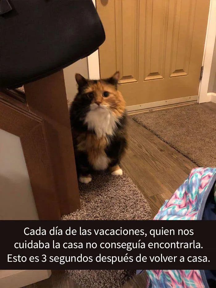 20 Divertidas publicaciones que son "lo peor de Tumblr"