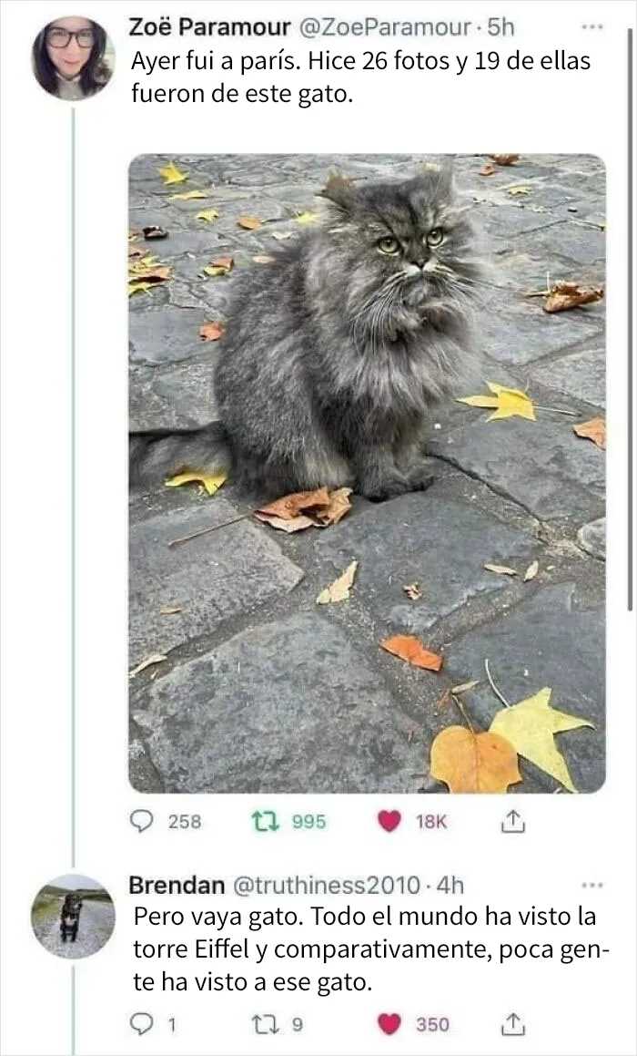 20 Divertidas publicaciones que son "lo peor de Tumblr"