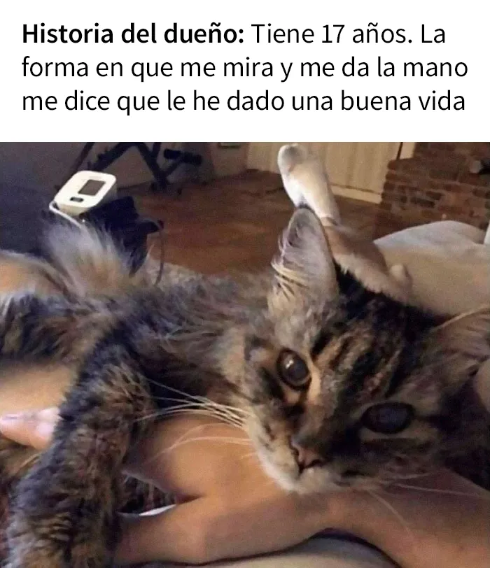 20 Divertidas publicaciones que son "lo peor de Tumblr"