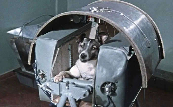 Perritos Históricos