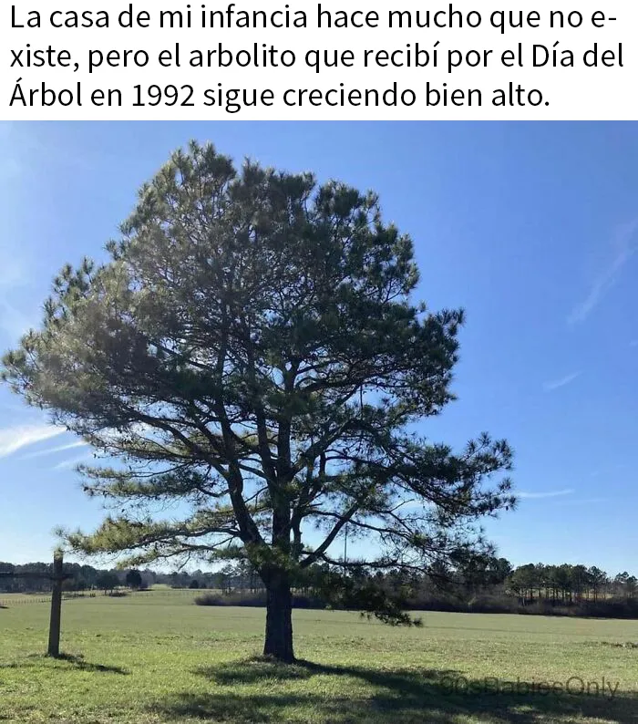 20 De los mejores memes sobre las alegrías y miserias de los millennials
