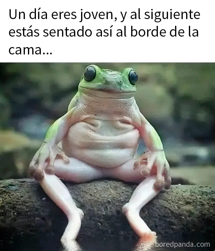 20 De los mejores memes sobre las alegrías y miserias de los millennials