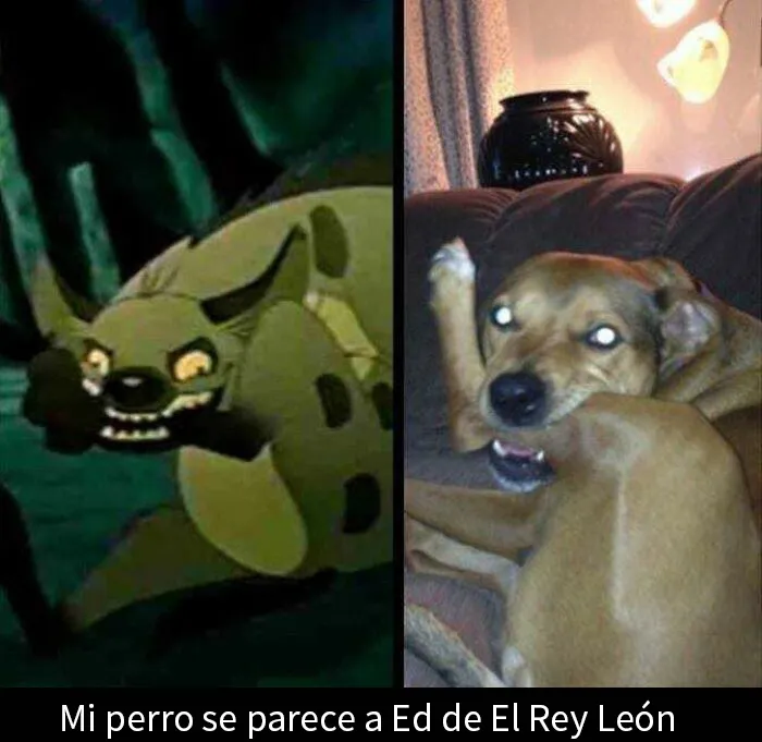 20 Gloriosos memes de la década de los 90 para reavivar tu nostalgia