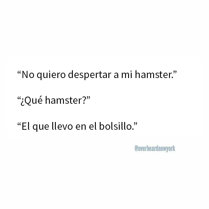 20 Nuevas e inesperadas conversaciones que la gente escuchó en Nueva York y había que compartirlas