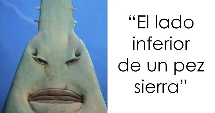 30 Fotos que ofrecen «ángulos alternativos» de eventos, lugares y cosas que quizá no hayas visto antes (nuevas imágenes)