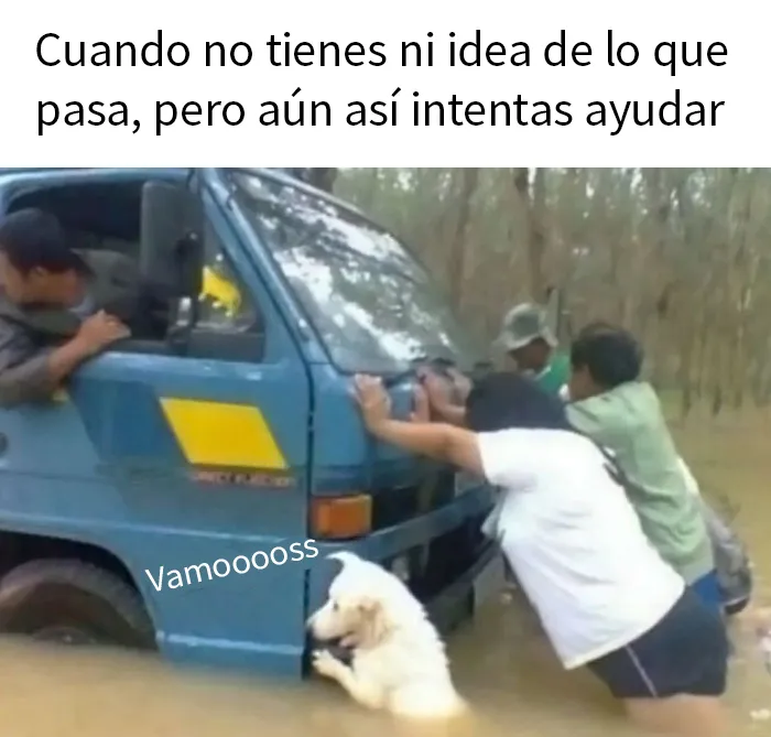 20 Memes reconfortantes sobre personas geniales ayudando a "hermanos"