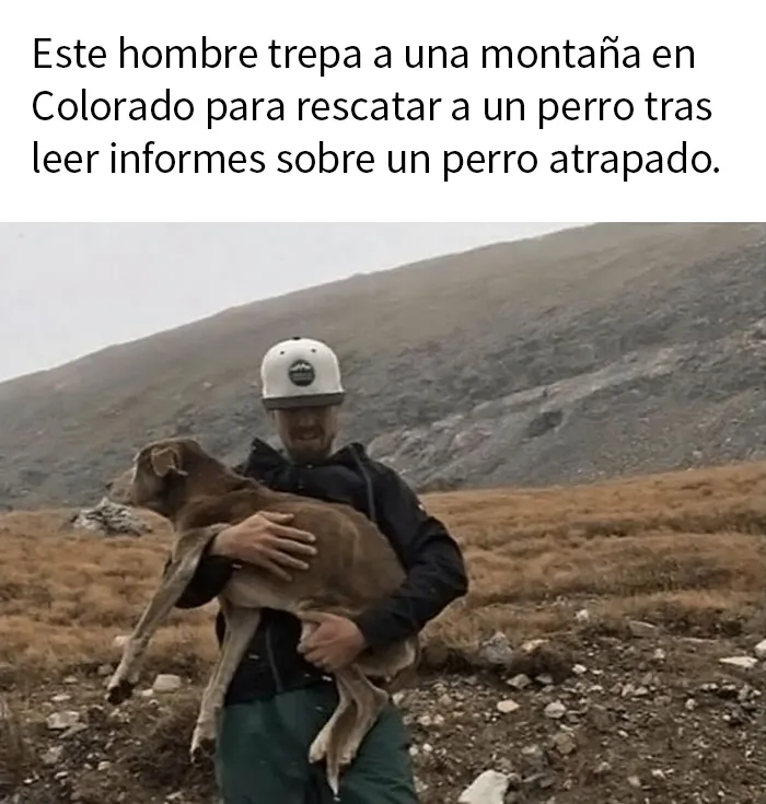 20 Memes reconfortantes sobre personas geniales ayudando a "hermanos"