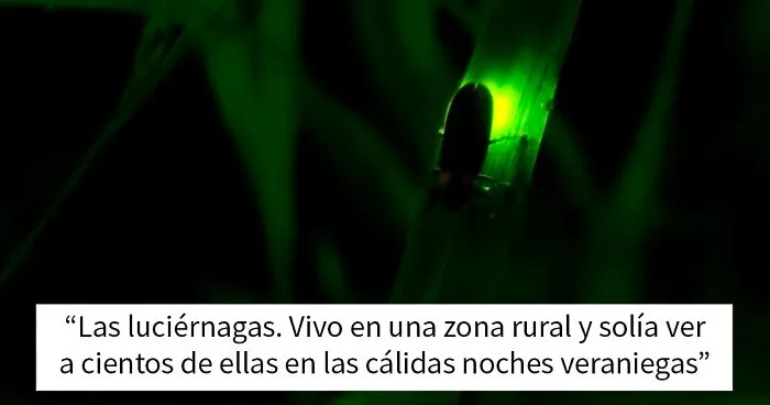"¿Qué ha desaparecido sin que nos demos cuenta?": 20 respuestas