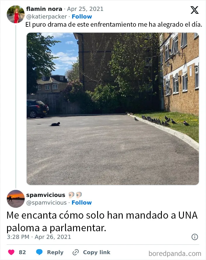 20 Divertidos memes en los que te gustaría etiquetar a tu gato