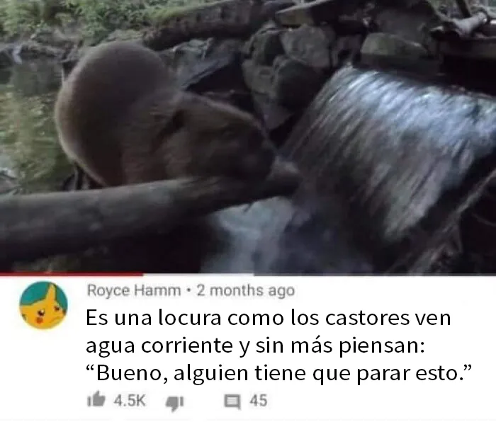 20 Memes divertidos y "muy limpios" para ayudarte a sonreír hoy