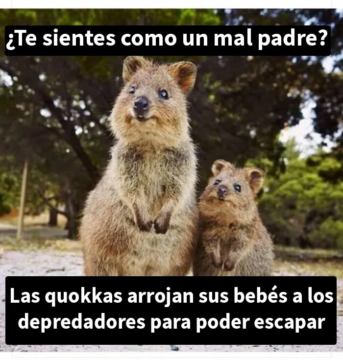 20 Divertidos memes mostrando los desafíos y alegrías que conlleva ser padres