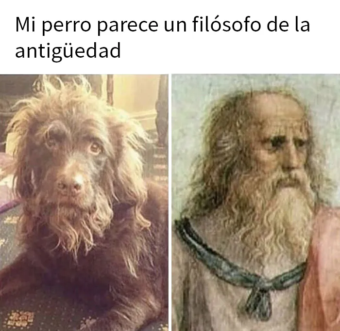 20 Divertidas imágenes de cosas que se parecen razonablemente