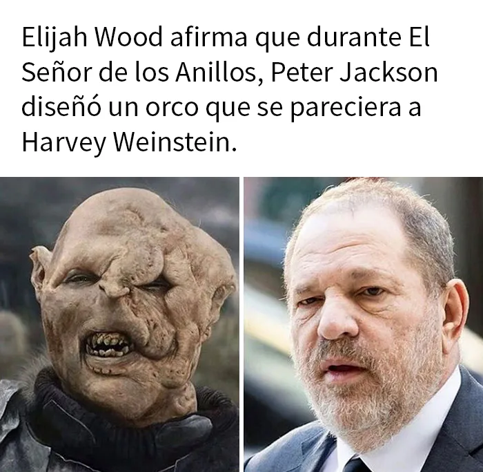 20 Divertidas imágenes de cosas que se parecen razonablemente