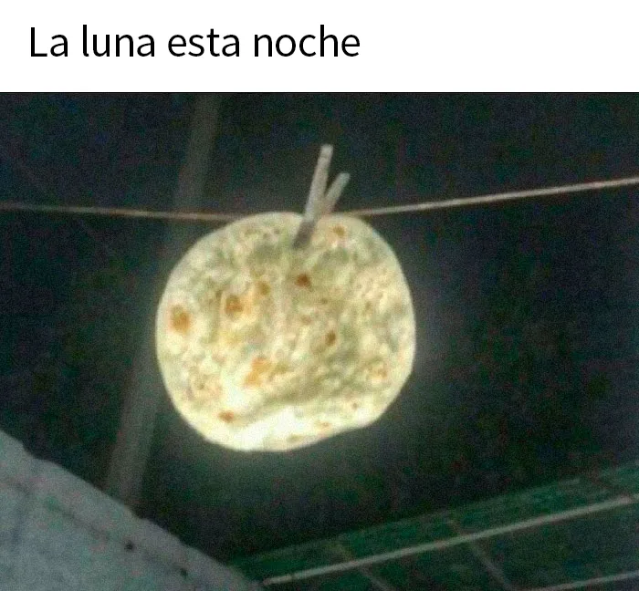 20 Publicaciones para mostrarte "el lado raro de internet"