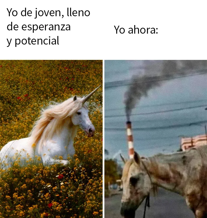 20 Publicaciones para mostrarte "el lado raro de internet"