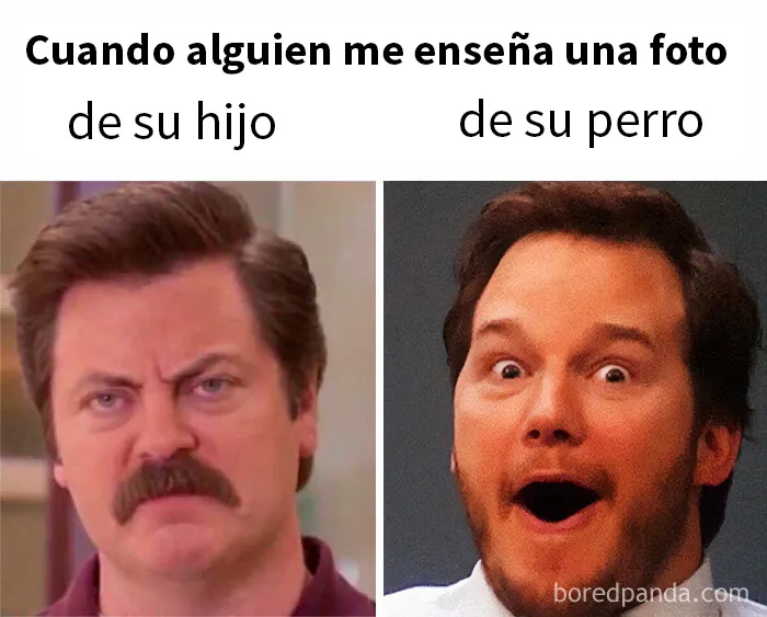 20 Divertidos memes que resumen la vida sin hijos