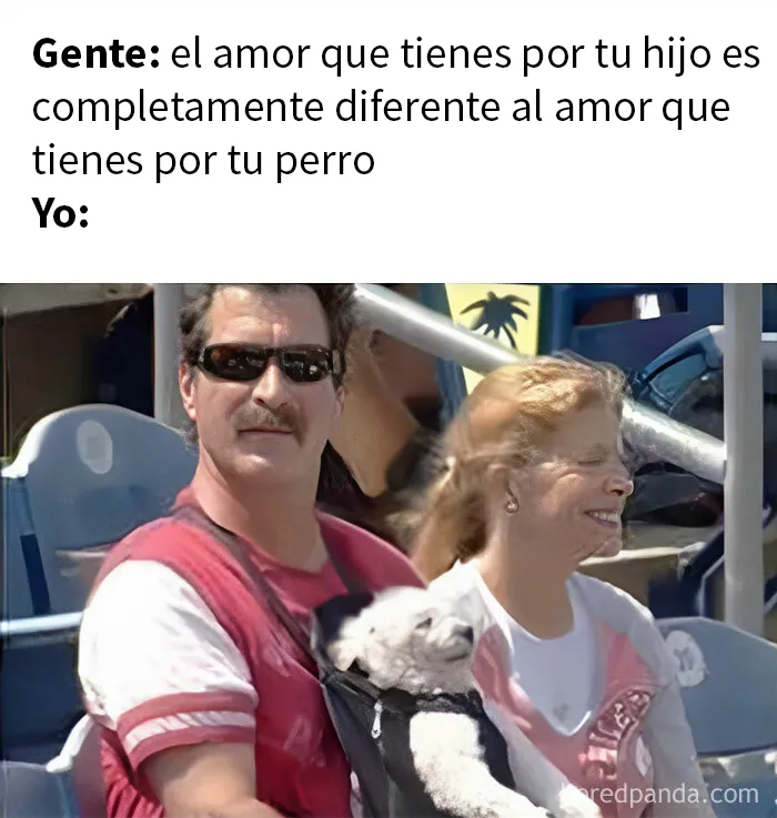20 Divertidos memes que resumen la vida sin hijos
