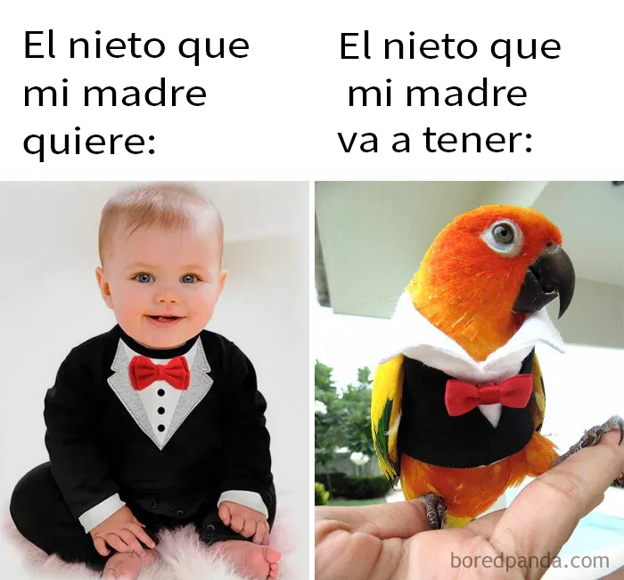 20 Divertidos memes que resumen la vida sin hijos