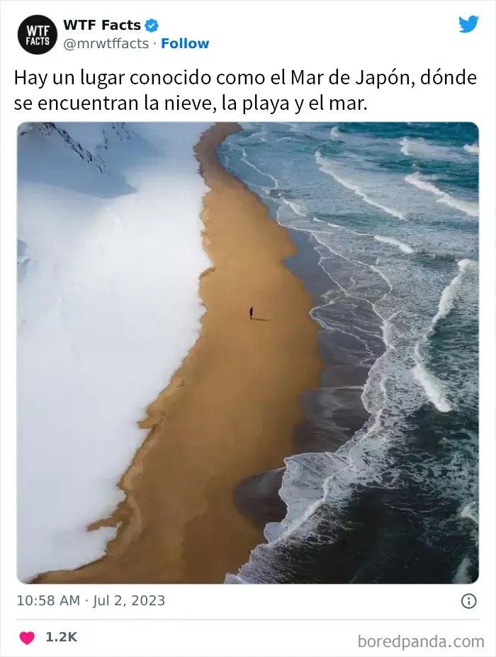 20 Nuevos datos de esta cuenta de Twitter que te dejarán alucinando