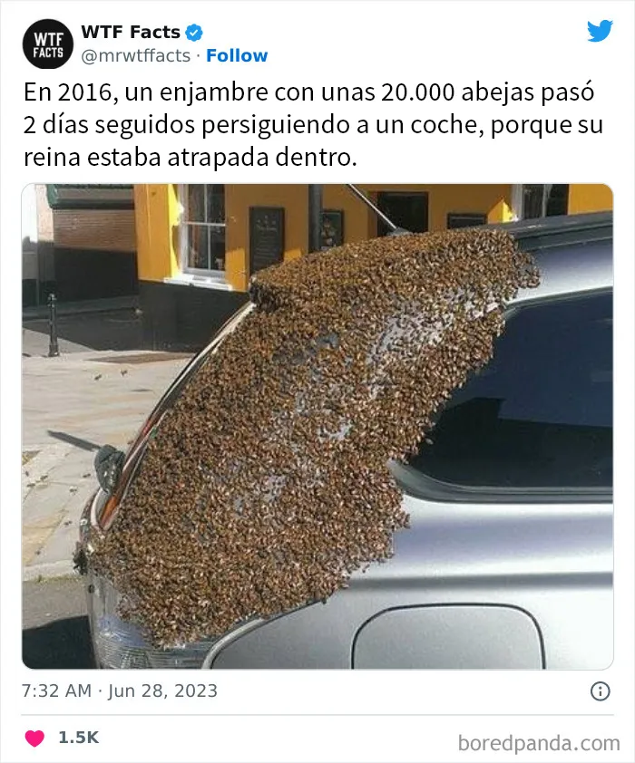 20 Nuevos datos de esta cuenta de Twitter que te dejarán alucinando