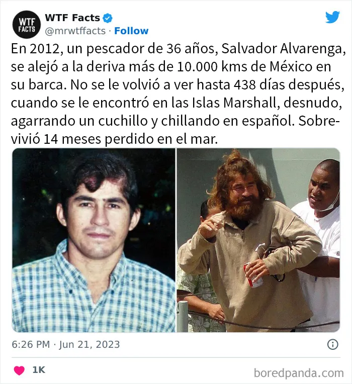 20 Nuevos datos de esta cuenta de Twitter que te dejarán alucinando