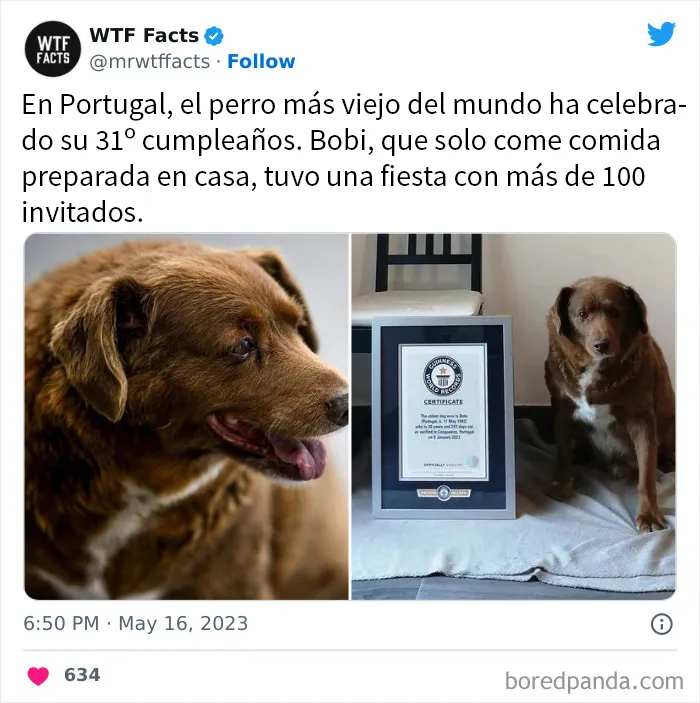 20 Nuevos datos de esta cuenta de Twitter que te dejarán alucinando