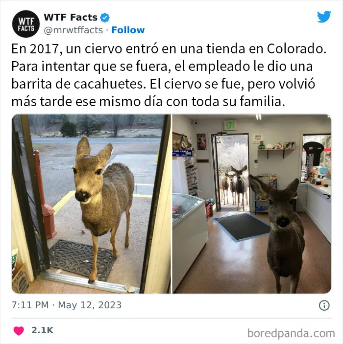 20 Nuevos datos de esta cuenta de Twitter que te dejarán alucinando