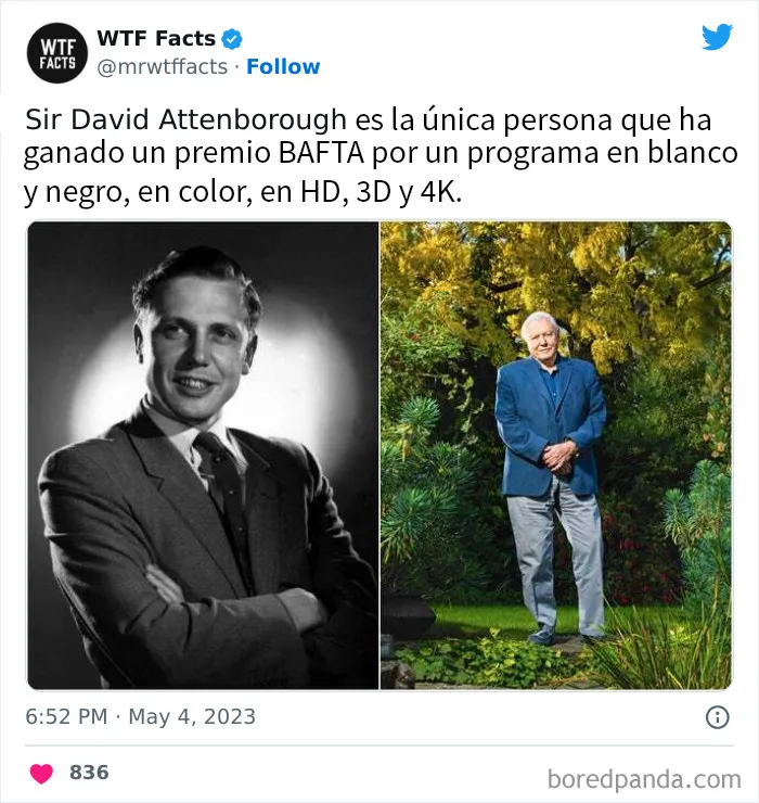 20 Nuevos datos de esta cuenta de Twitter que te dejarán alucinando