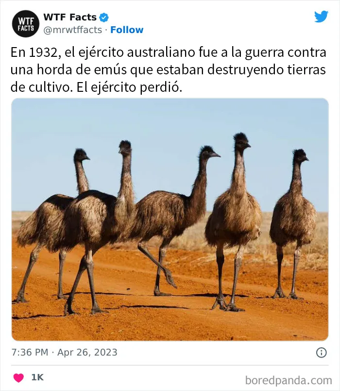 20 Nuevos datos de esta cuenta de Twitter que te dejarán alucinando